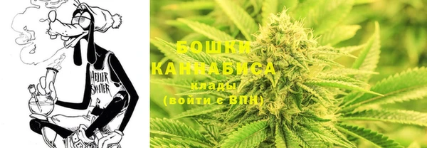 крисы Горнозаводск