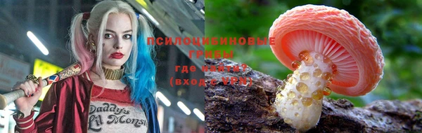 крисы Горнозаводск