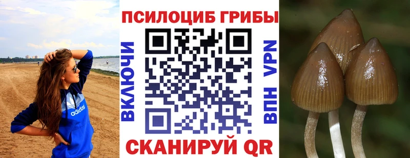 Псилоцибиновые грибы Cubensis  Первоуральск 